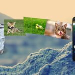 Aplicativo Gratuito para Recuperar Fotos Apagadas