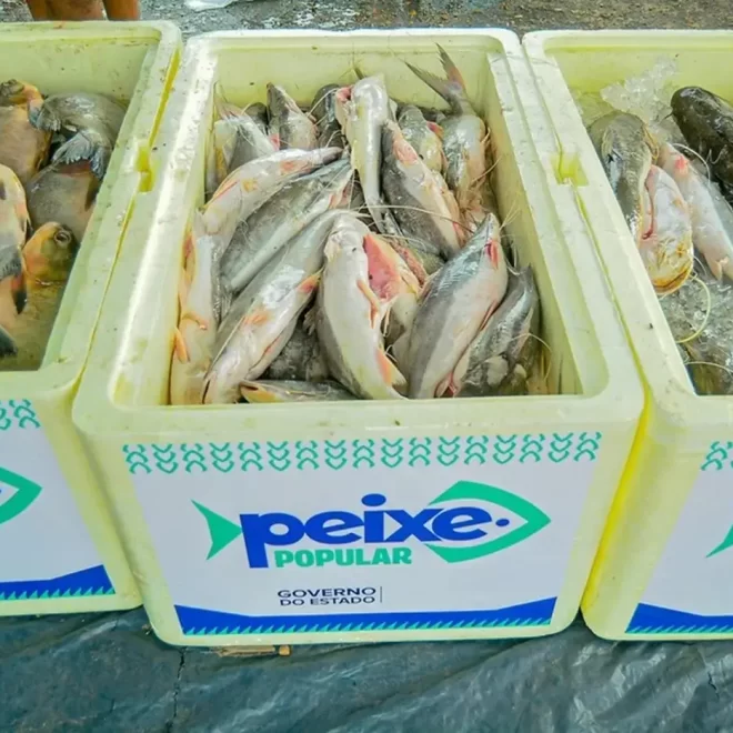 Projeto Peixe Popular: Distribuição de Peixe Gratuita